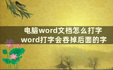 电脑word文档怎么打字 word打字会吞掉后面的字